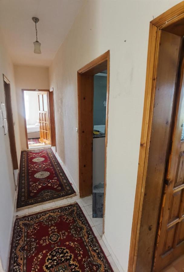 Adventurous Local Hostel Фетие Стая снимка